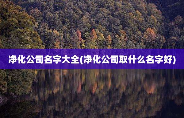 净化公司名字大全(净化公司取什么名字好)