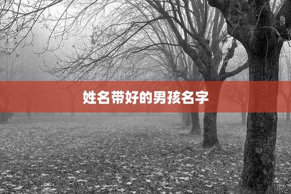 姓名带好的男孩名字