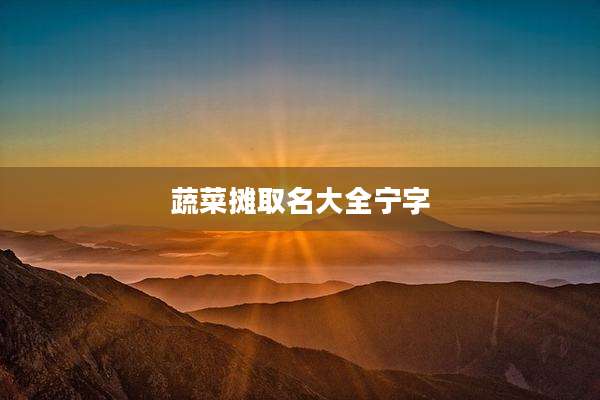 蔬菜摊取名大全宁字