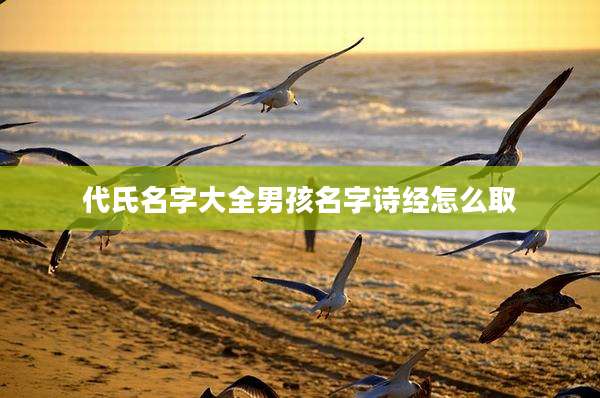 代氏名字大全男孩名字诗经怎么取
