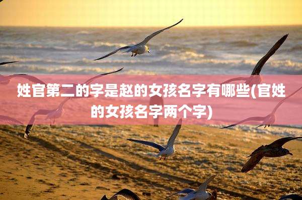 姓官第二的字是赵的女孩名字有哪些(官姓的女孩名字两个字)