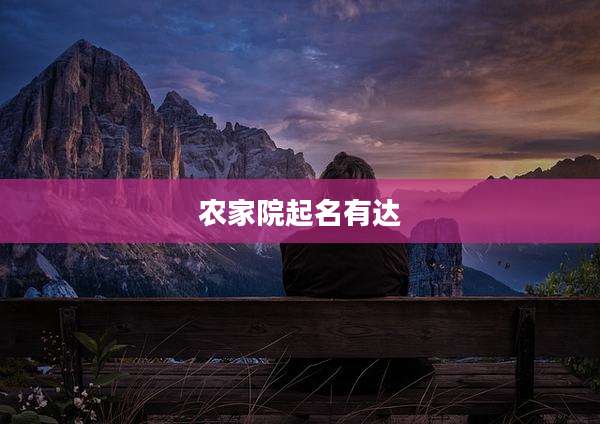 农家院起名有达