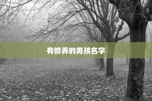 有修养的男孩名字