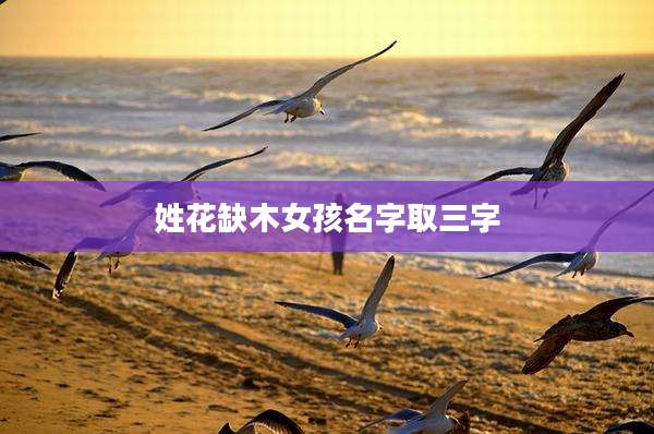 姓花缺木女孩名字取三字