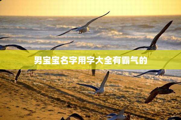 男宝宝名字用字大全有霸气的