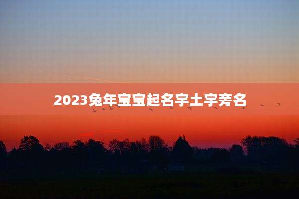2023兔年宝宝起名字土字旁名