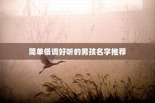 简单低调好听的男孩名字推荐