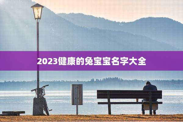 2023健康的兔宝宝名字大全