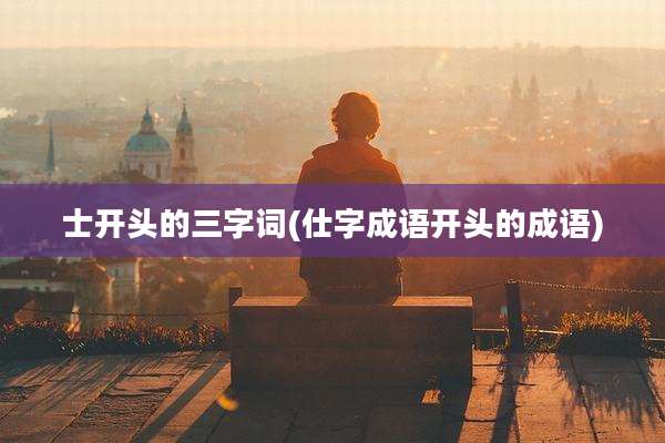 士开头的三字词(仕字成语开头的成语)