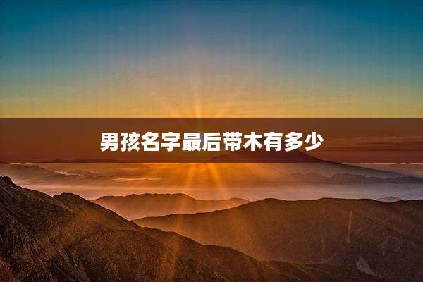 男孩名字最后带木有多少