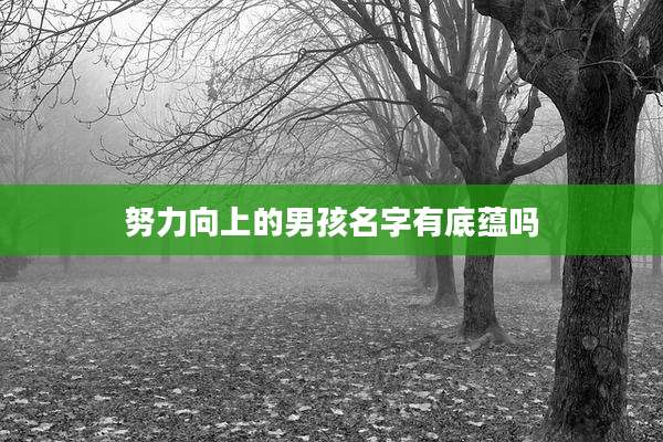 努力向上的男孩名字有底蕴吗