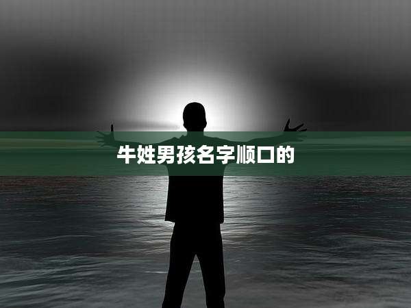 牛姓男孩名字顺口的