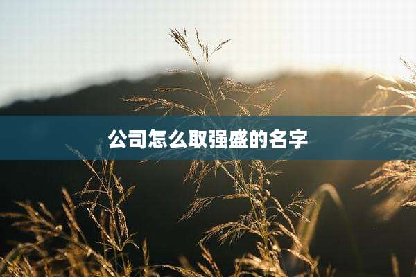 公司怎么取强盛的名字