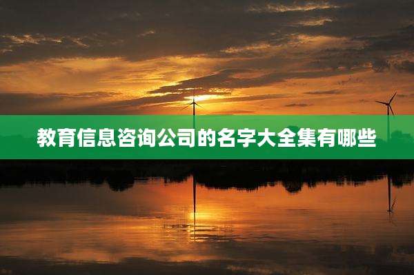教育信息咨询公司的名字大全集有哪些