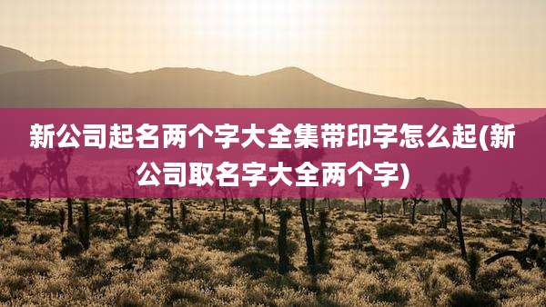 新公司起名两个字大全集带印字怎么起(新公司取名字大全两个字)