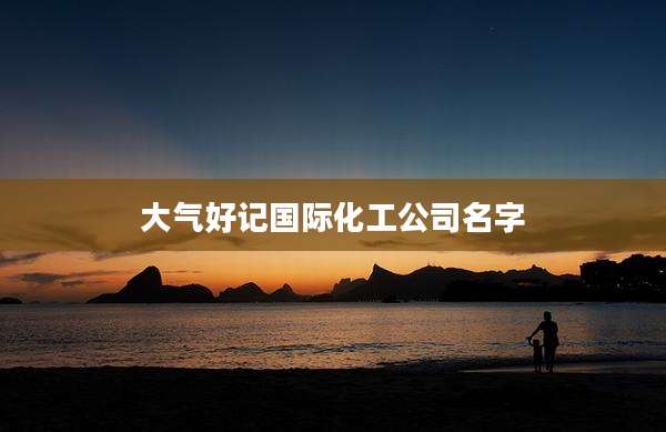 大气好记国际化工公司名字
