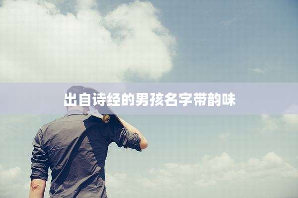 出自诗经的男孩名字带韵味
