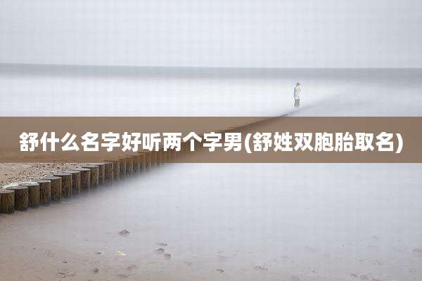 舒什么名字好听两个字男(舒姓双胞胎取名)