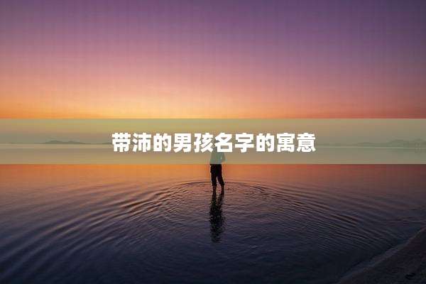 带沛的男孩名字的寓意