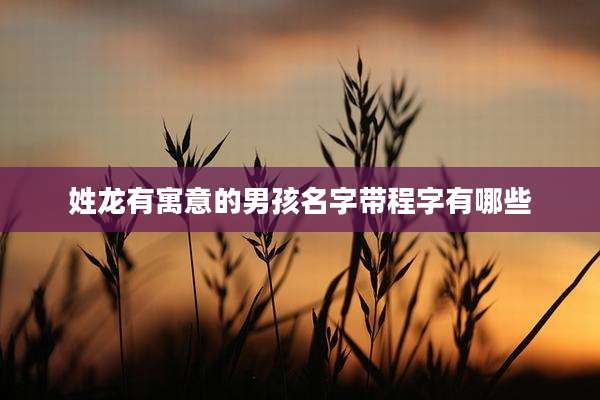 姓龙有寓意的男孩名字带程字有哪些