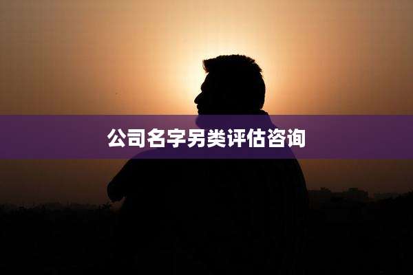 公司名字另类评估咨询