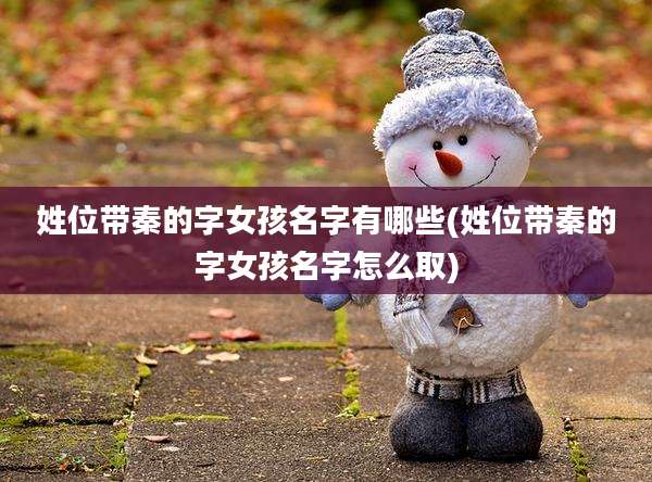 姓位带秦的字女孩名字有哪些(姓位带秦的字女孩名字怎么取)