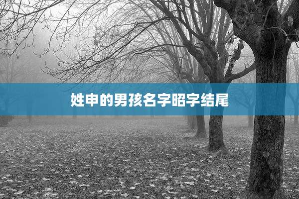 姓申的男孩名字昭字结尾