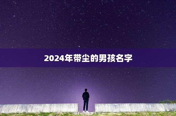 2024年带尘的男孩名字
