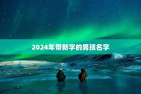 2024年带新字的男孩名字