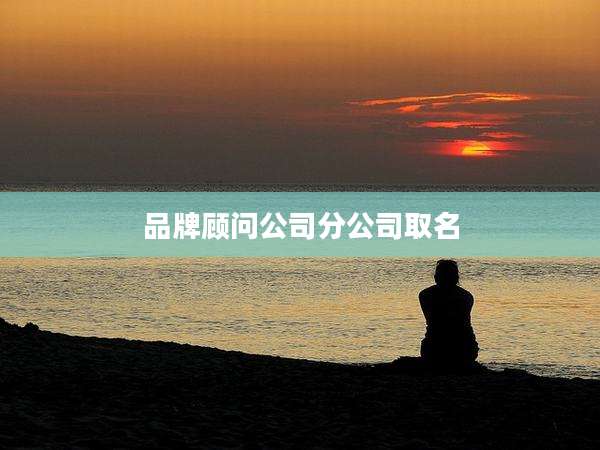 品牌顾问公司分公司取名