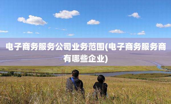 电子商务服务公司业务范围(电子商务服务商有哪些企业)