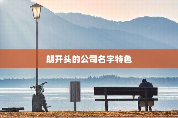 朗开头的公司名字特色