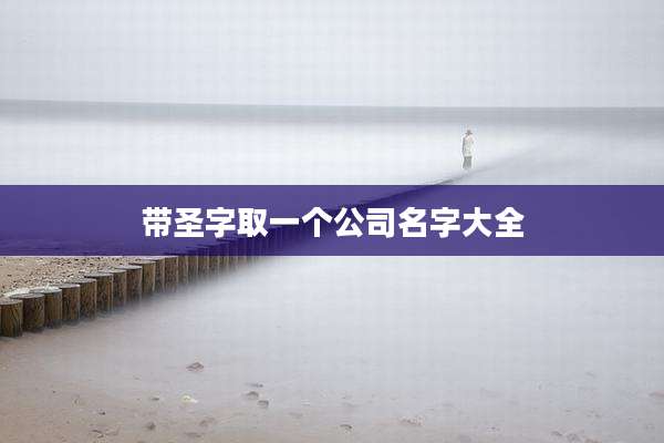 带圣字取一个公司名字大全