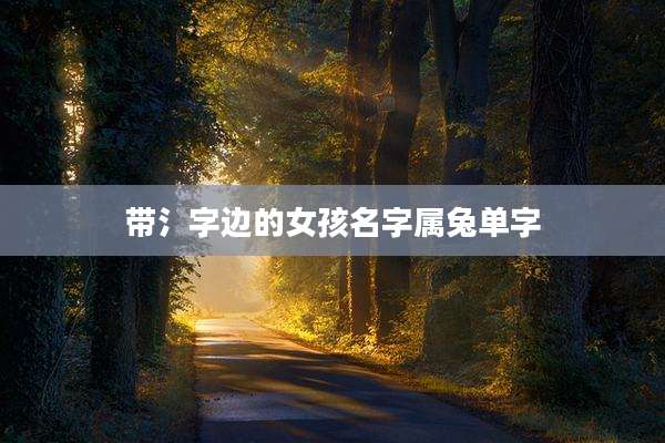 带氵字边的女孩名字属兔单字