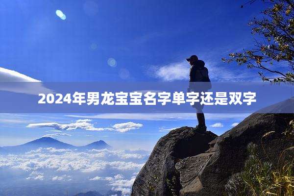 2024年男龙宝宝名字单字还是双字