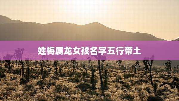 姓梅属龙女孩名字五行带土