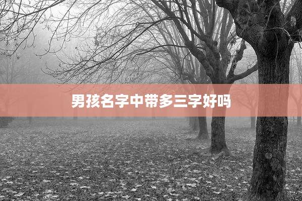 男孩名字中带多三字好吗