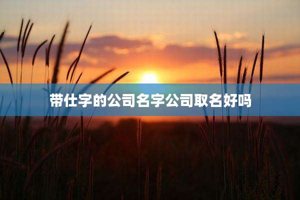 带仕字的公司名字公司取名好吗