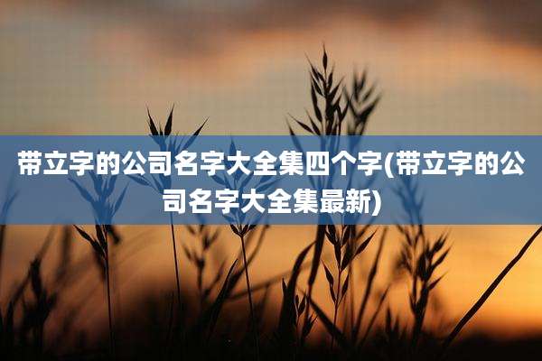 带立字的公司名字大全集四个字(带立字的公司名字大全集最新)
