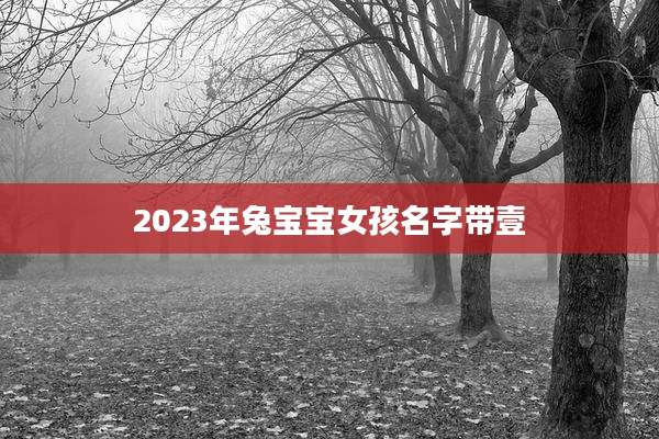2023年兔宝宝女孩名字带壹