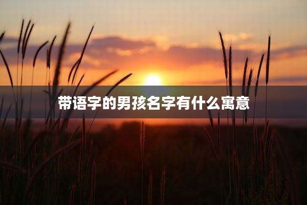 带语字的男孩名字有什么寓意