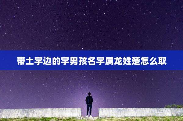 带土字边的字男孩名字属龙姓楚怎么取
