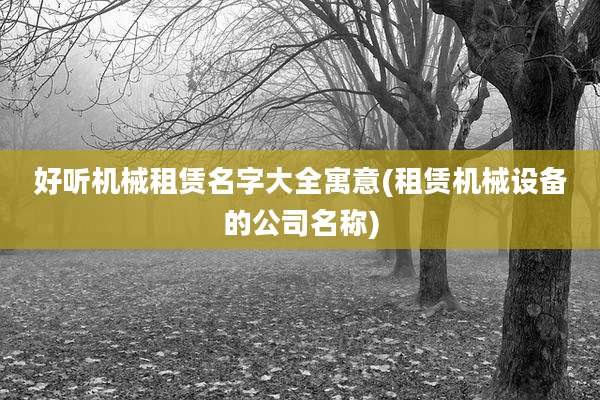 好听机械租赁名字大全寓意(租赁机械设备的公司名称)