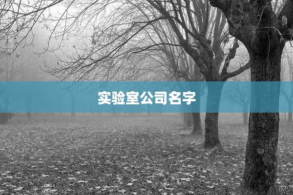 实验室公司名字