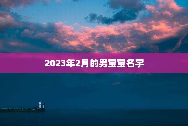 2023年2月的男宝宝名字
