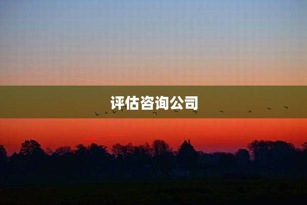 评估咨询公司