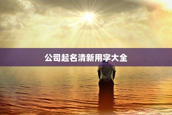 公司起名清新用字大全