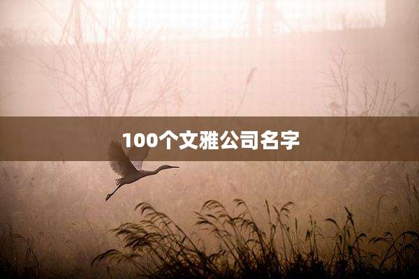100个文雅公司名字