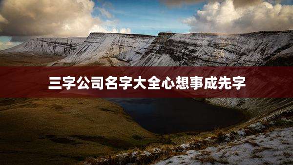 三字公司名字大全心想事成先字