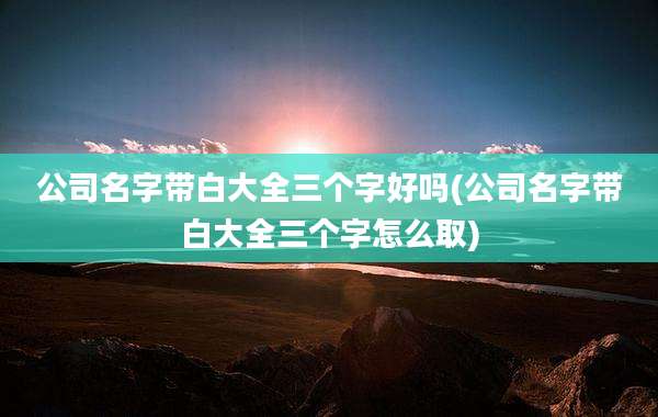 公司名字带白大全三个字好吗(公司名字带白大全三个字怎么取)